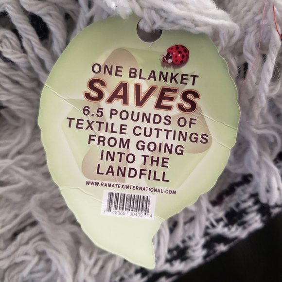 NWT Earth Ragz Striped Blanket - Picture 7 of 7